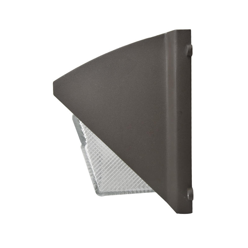 BG002B Securus Restituo Ductus Wall Pack lux